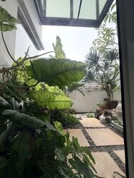 Serangoon Garden Estate (D19), Semi-Detached #562158221